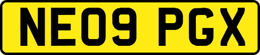 NE09PGX