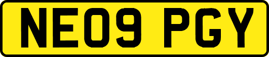 NE09PGY