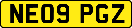 NE09PGZ