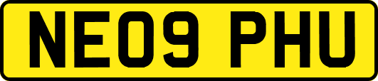 NE09PHU