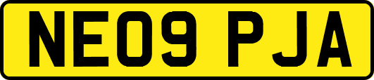 NE09PJA