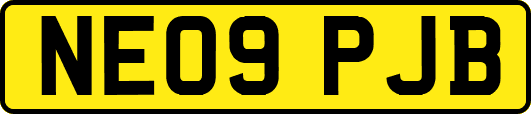 NE09PJB
