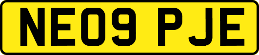 NE09PJE