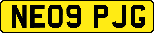 NE09PJG
