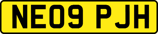 NE09PJH