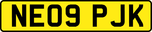 NE09PJK