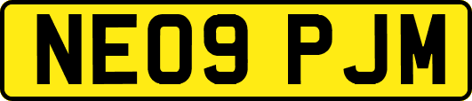 NE09PJM