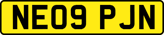 NE09PJN