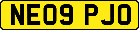 NE09PJO
