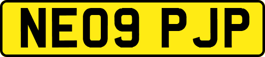 NE09PJP