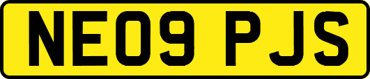 NE09PJS