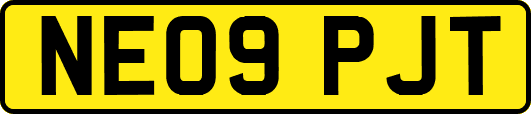 NE09PJT