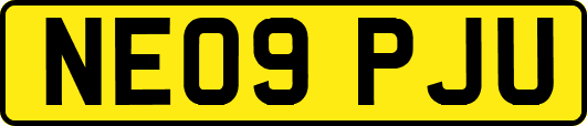 NE09PJU