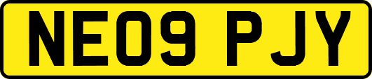 NE09PJY