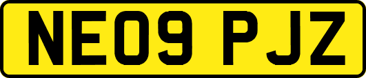 NE09PJZ