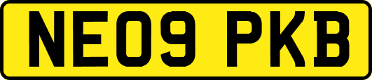 NE09PKB