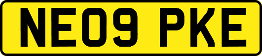 NE09PKE