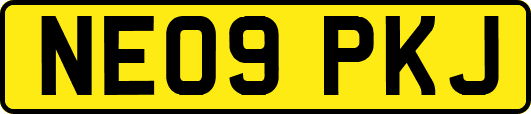 NE09PKJ