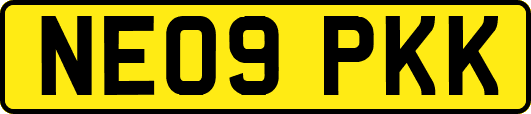 NE09PKK