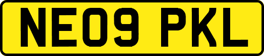 NE09PKL