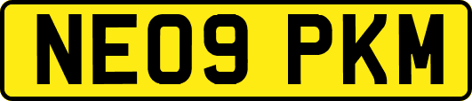 NE09PKM