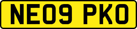 NE09PKO