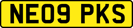 NE09PKS