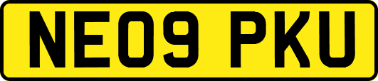 NE09PKU