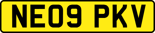 NE09PKV