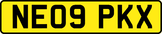 NE09PKX