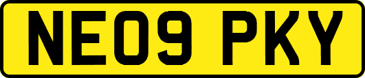 NE09PKY