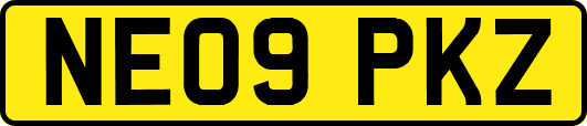 NE09PKZ