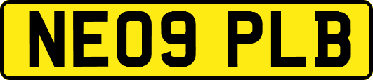 NE09PLB