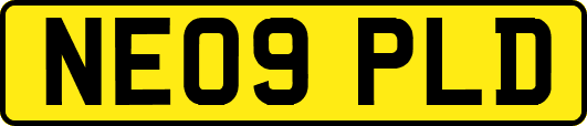 NE09PLD
