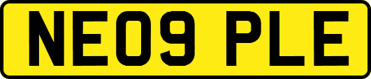 NE09PLE