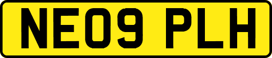 NE09PLH