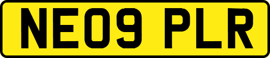 NE09PLR