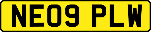 NE09PLW