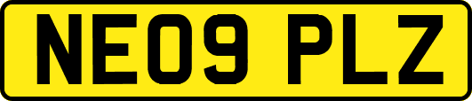 NE09PLZ