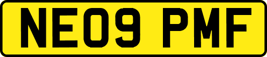 NE09PMF