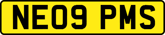NE09PMS