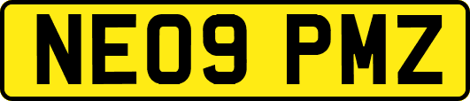 NE09PMZ