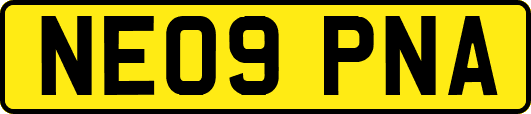 NE09PNA