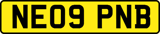 NE09PNB