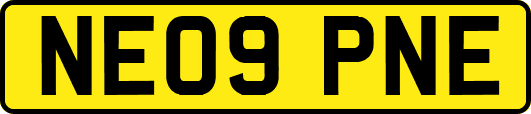 NE09PNE
