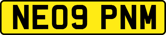 NE09PNM
