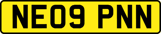 NE09PNN