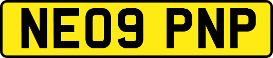 NE09PNP