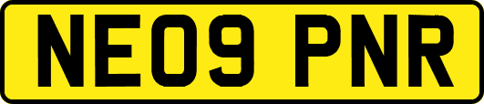 NE09PNR