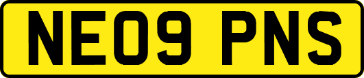 NE09PNS